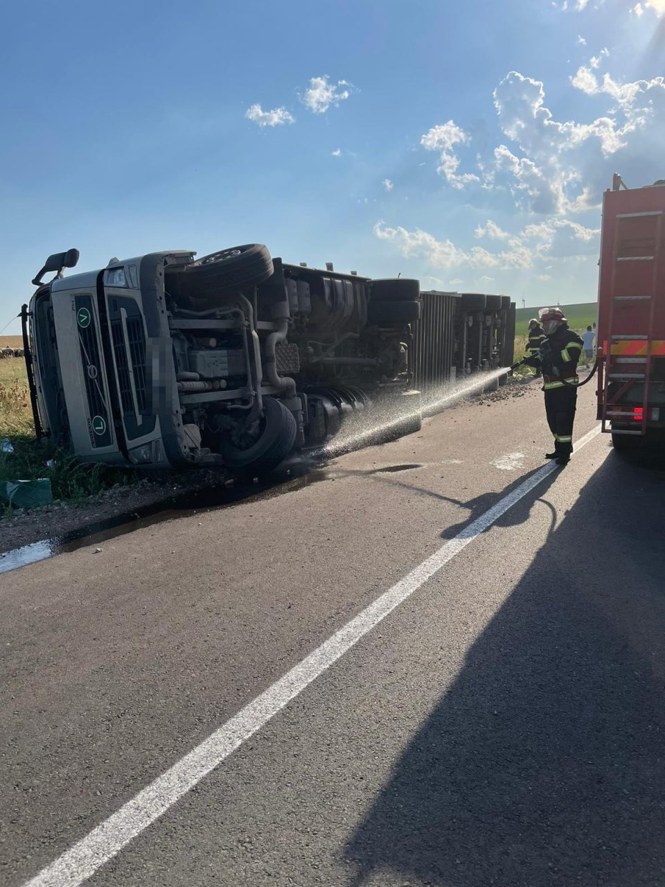Un TIR încărcat cu oi s-a răsturnat pe un drum din Tulcea. Circa 100 de animale au murit