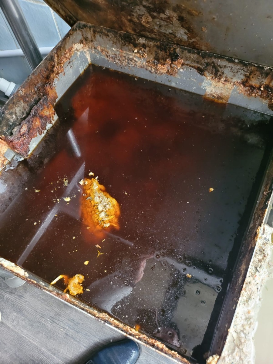 Imaginile groazei în restaurantele de pe litoral și din Delta Dunării. ANPC reclamă produse expirate din 2015 și condiții improprii în bucătării