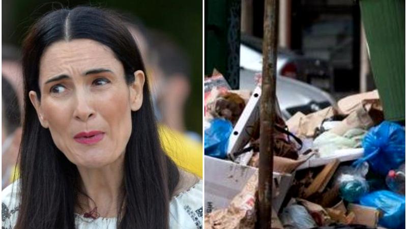 Primăria condusă de Clotilde Armand și Romprest au semnat un protocol pentru curățenia din sector