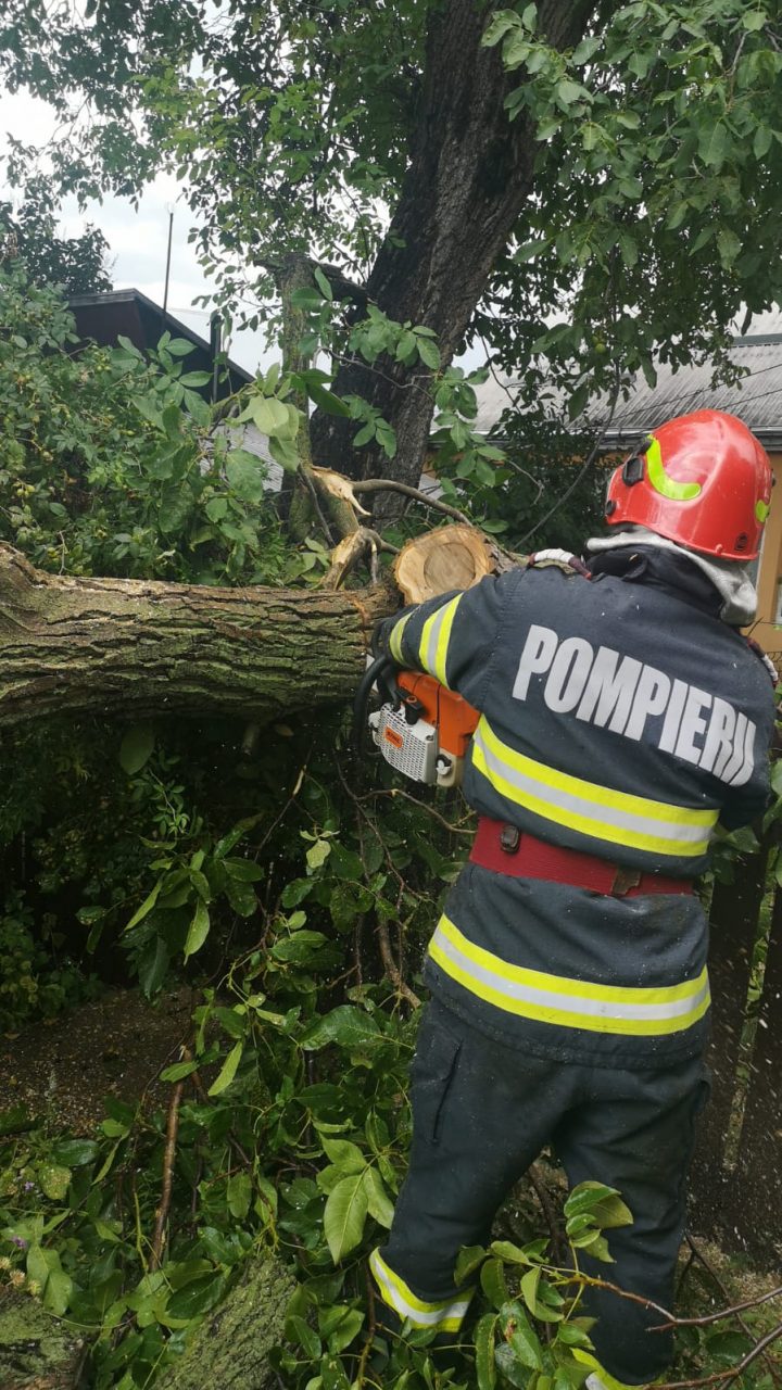 Vijeliile puternice au făcut pagube și victime: Oameni răniți de copaci căzuți, mașini avariate, cabluri electrice rupte