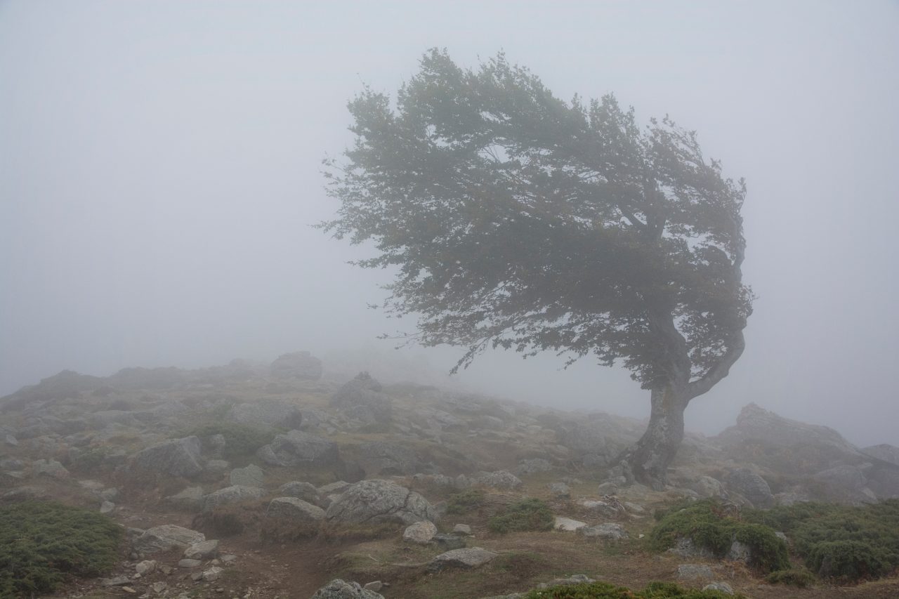 Atenţionare pentru românii care călătoresc în Grecia. Se anunță fenomene meteo extreme