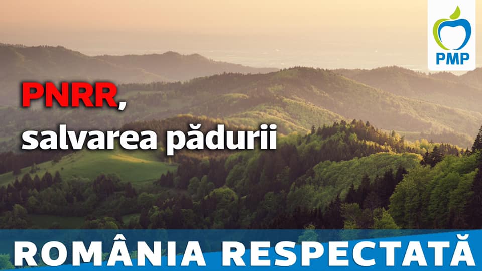 PMP: PNRR, o mare șansă pentru salvarea pădurilor