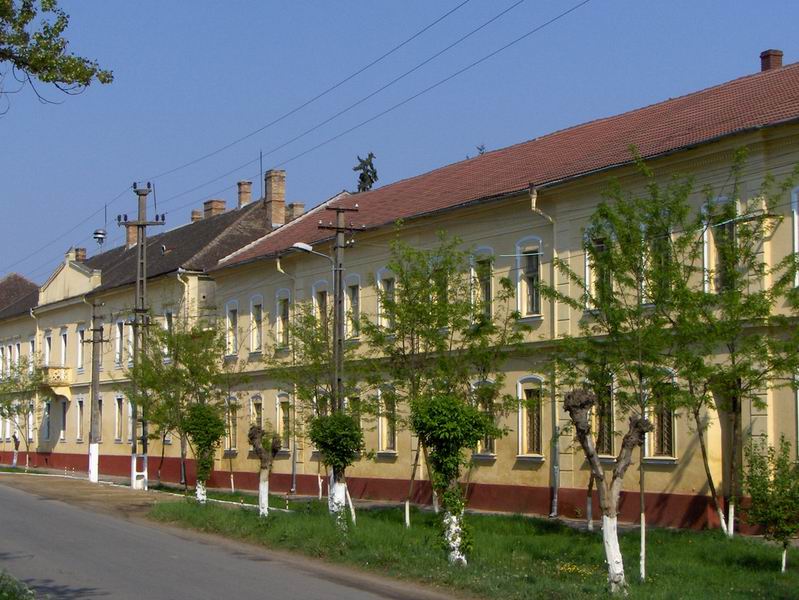 Trei elevi au fost reţinuţi şi unul internat la Psihiatrie, după o bătaie care a avut loc la Liceul “Atanasie Marinescu” din județul Arad