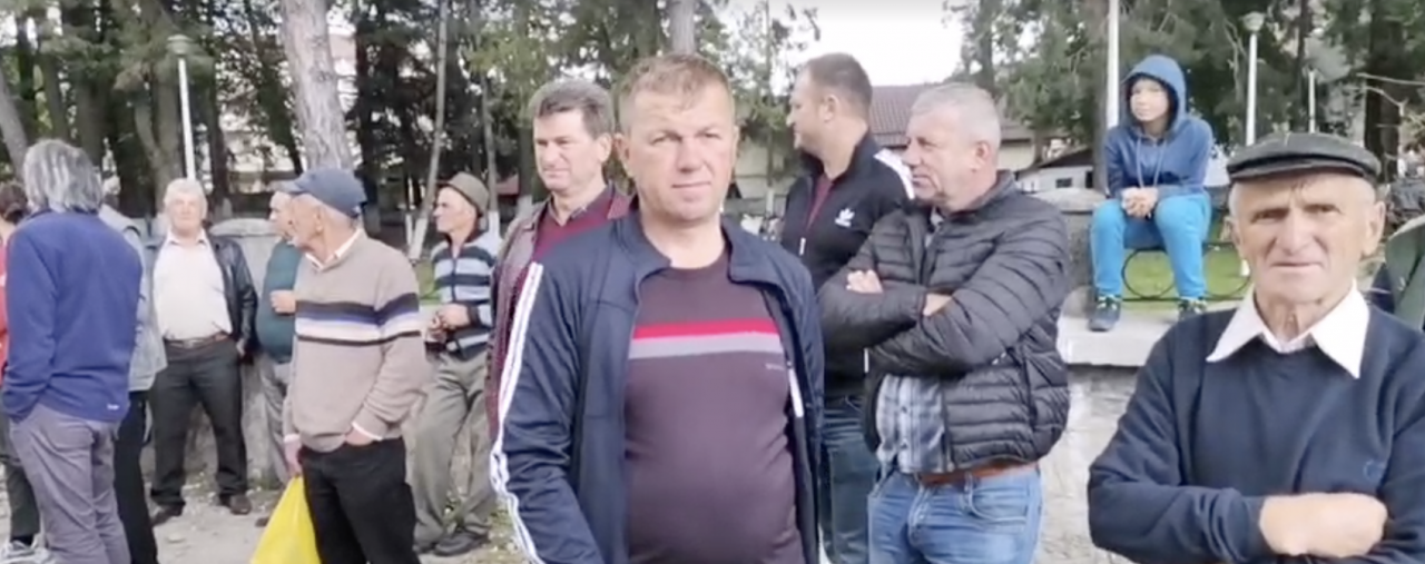 Protest împotriva urșilor din pădurile românești: „Nu mai putem, fiecare stradă are ursul ei” – VIDEO