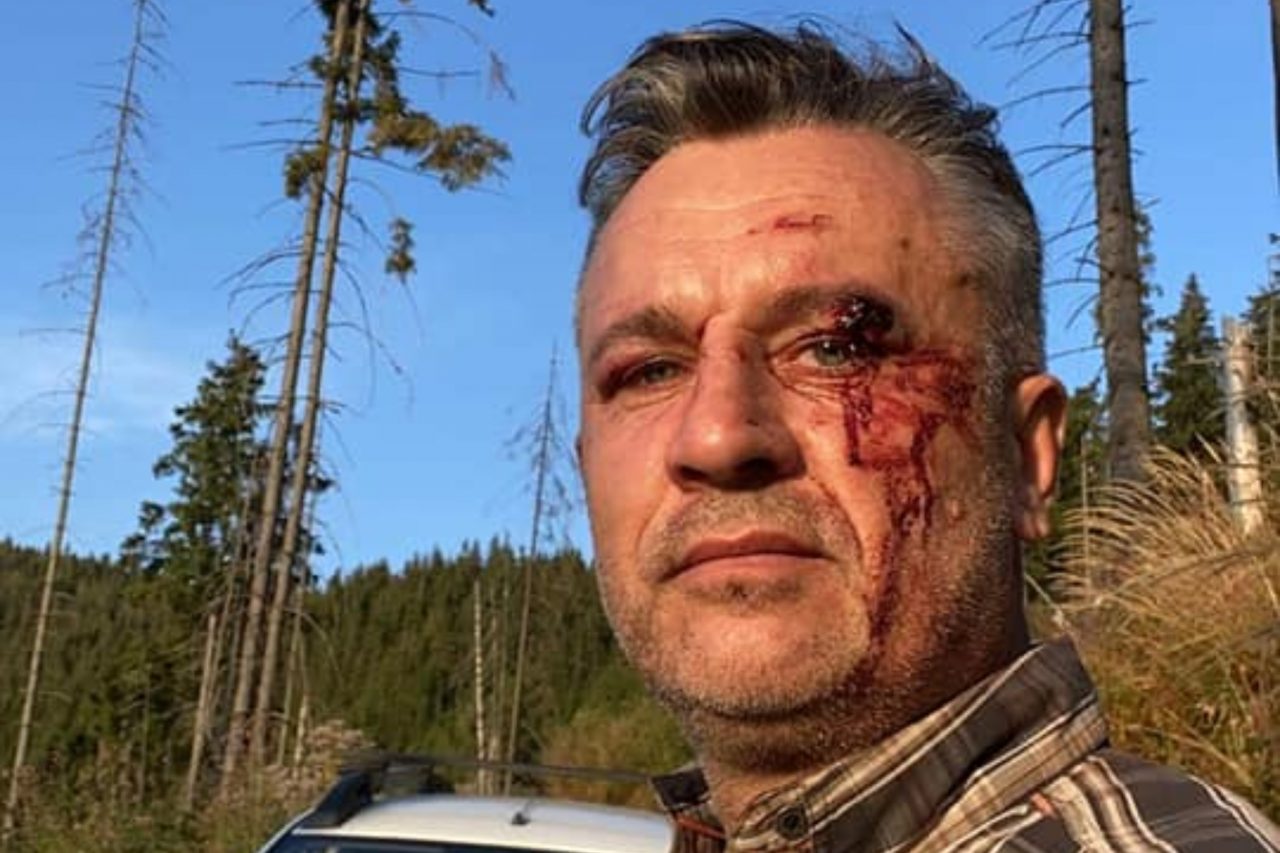 Greenpeace România: Doi jurnaliști și un activist de mediu au fost bătuți crunt, în Suceava, în timpul filmărilor despre tăierile ilegale de păduri. Ce face poliția