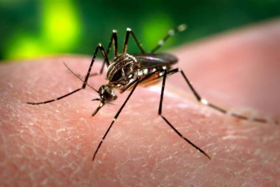 Un virus misterios a ucis zeci de copii din nordul Indiei. „Impactul combinat al COVID-19 și al epidemiilor poate duce la consecințe devastatoare pentru populații”