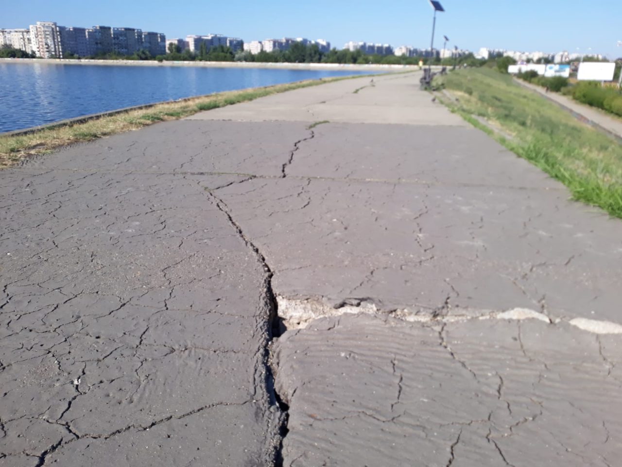 Detalii incredibile în cazul femeii sfâșiate de maidanezi în zona Lacul Morii: Un bărbat a văzut întreaga scenă și a încercat să o salveze, dar era deja prea târziu