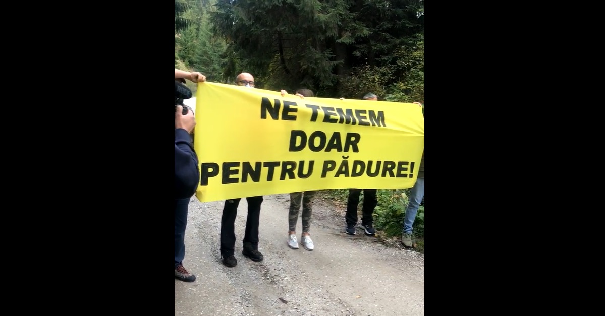 Organizațiile de mediu își declară solidaritatea cu jurnaliștii și activistul agresați, într-o acțiune la locul atacului. „Ne temem doar pentru pădure”