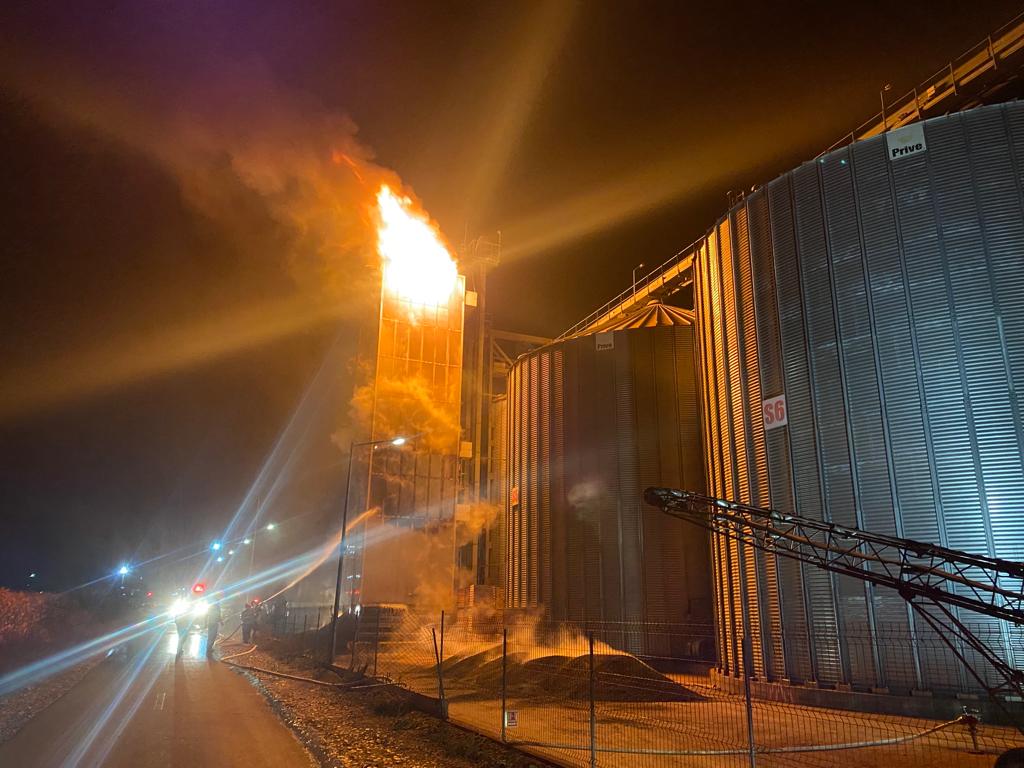 Un incendiu puternic a cuprins un depozit de cereale din Bacău. Zeci de tone de floarea soarelui au fost distruse de flăcări