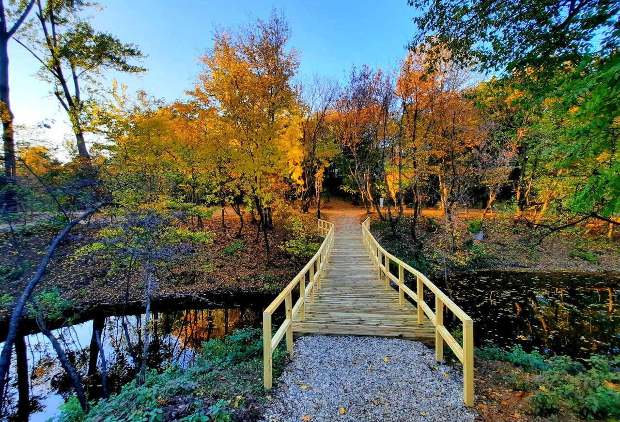Cum arată noul parc deschis vineri în Capitală: „Este cea de-a doua Deltă a Bucureștiului” | GALERIE FOTO