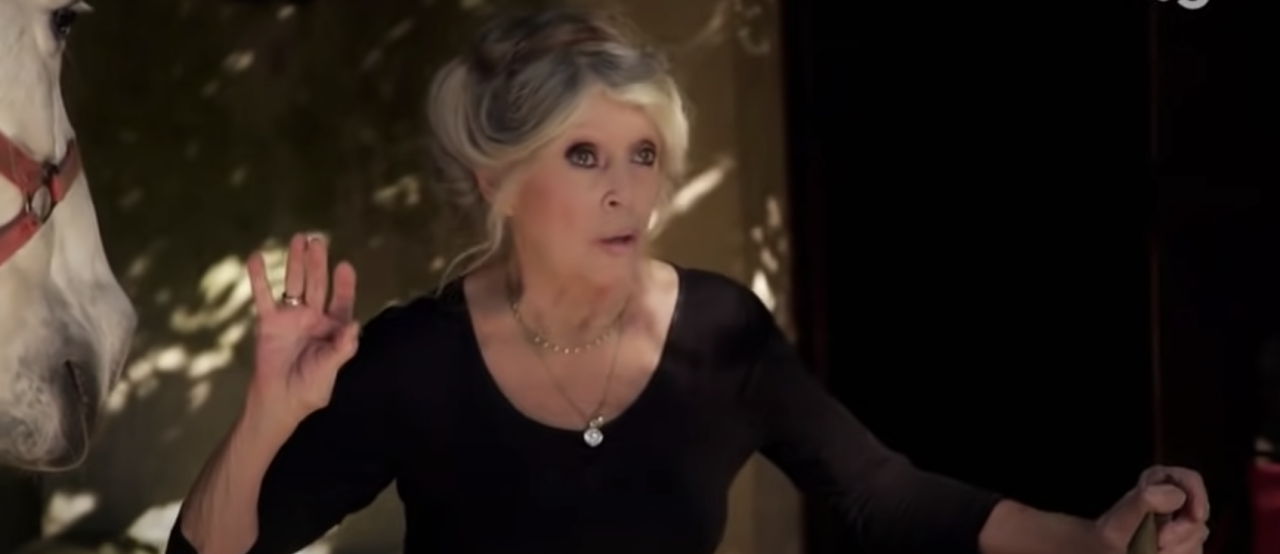 Actrița Brigitte Bardot a fost amendată cu 20.000 de euro pentru afirmații ”rasiste”