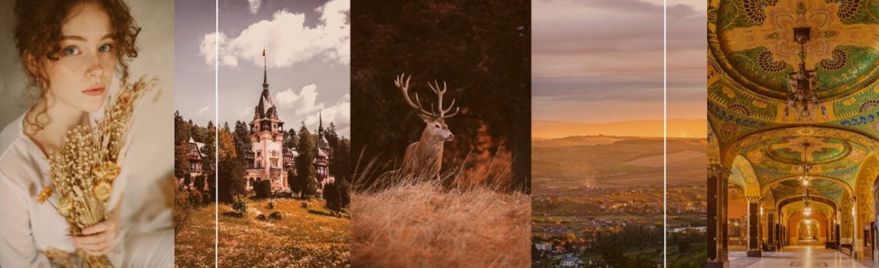 Cele mai frumoase imagini din România, într-un concurs viral de fotografie