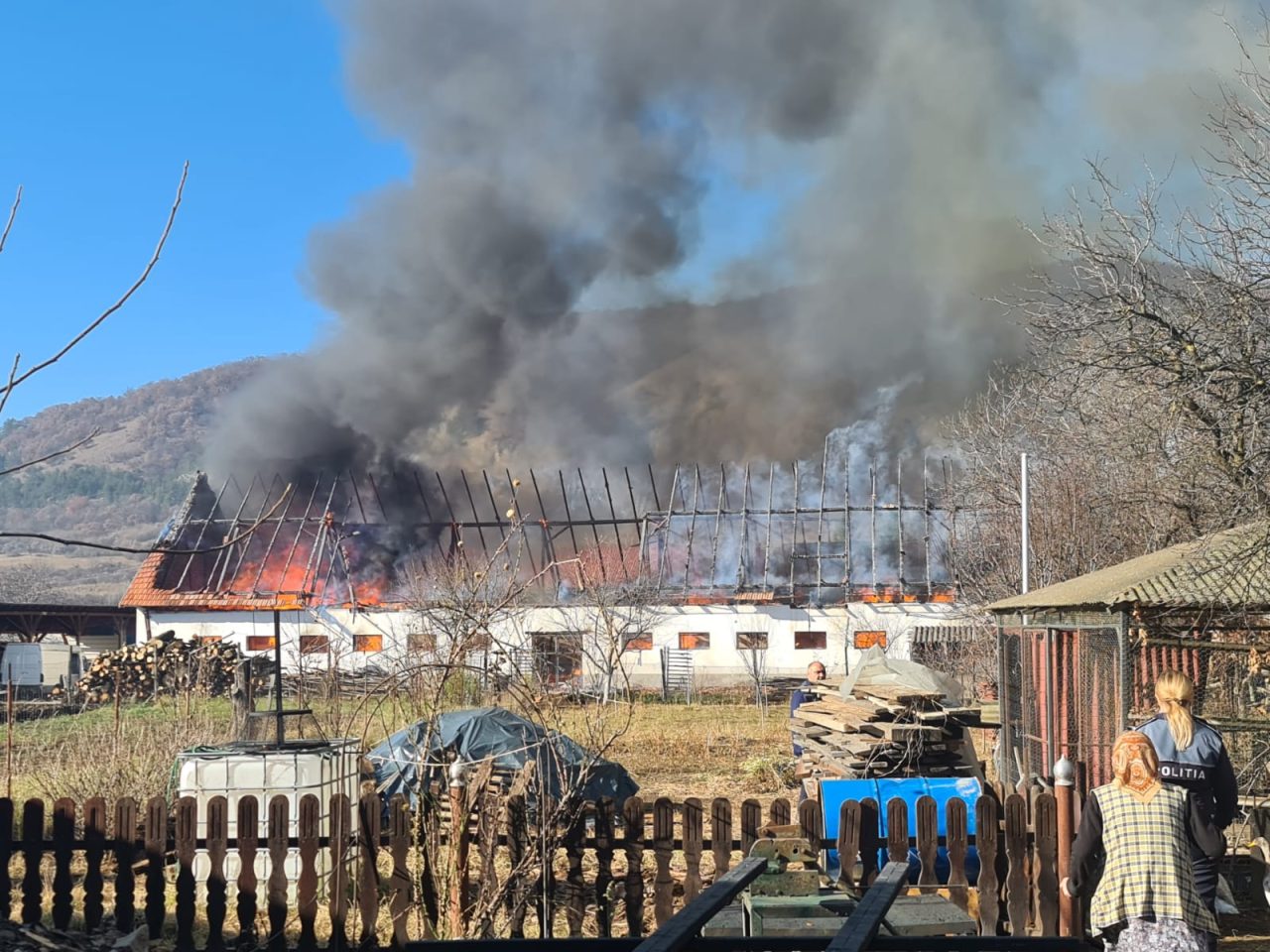 Incendiu la un atelier de prelucrare a lemnului. Au intervenit 80 de pompieri
