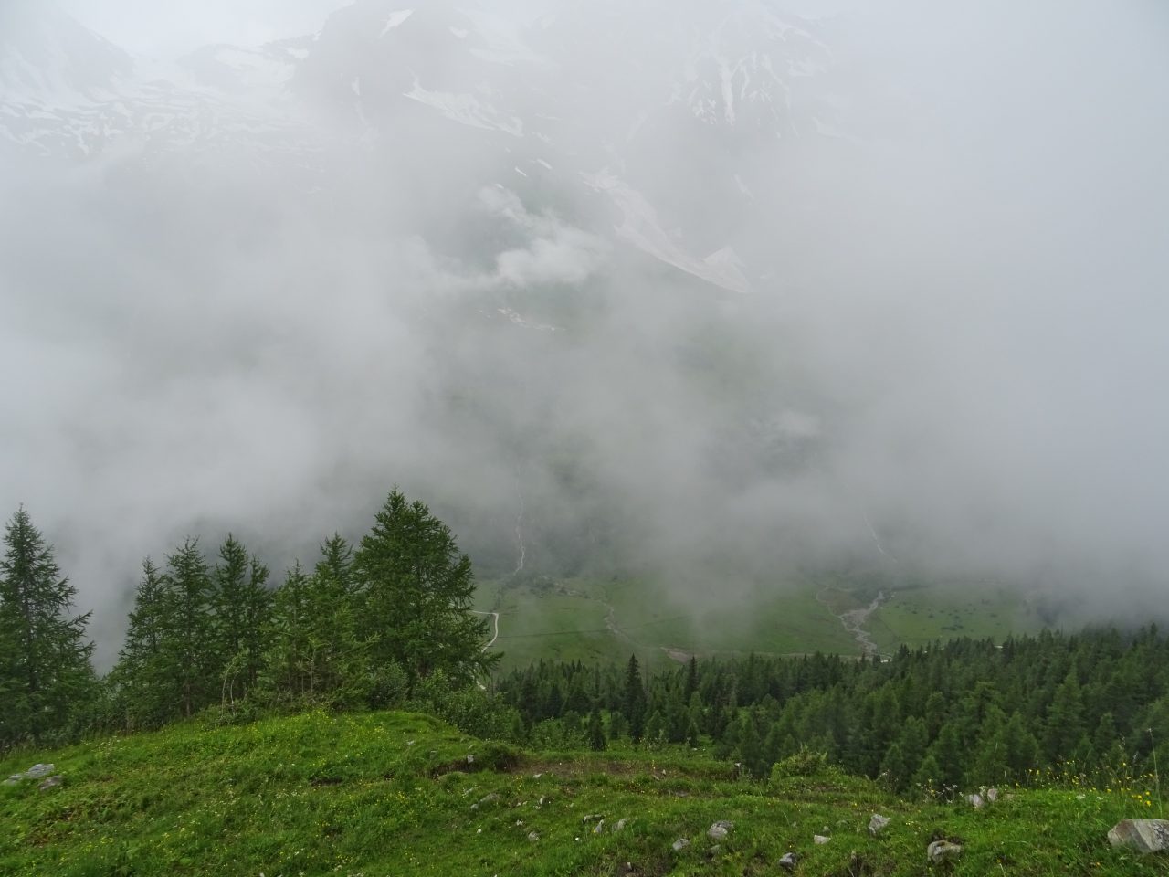 Cod galben de ceață densă în 12 județe. Care sunt zonele vizate