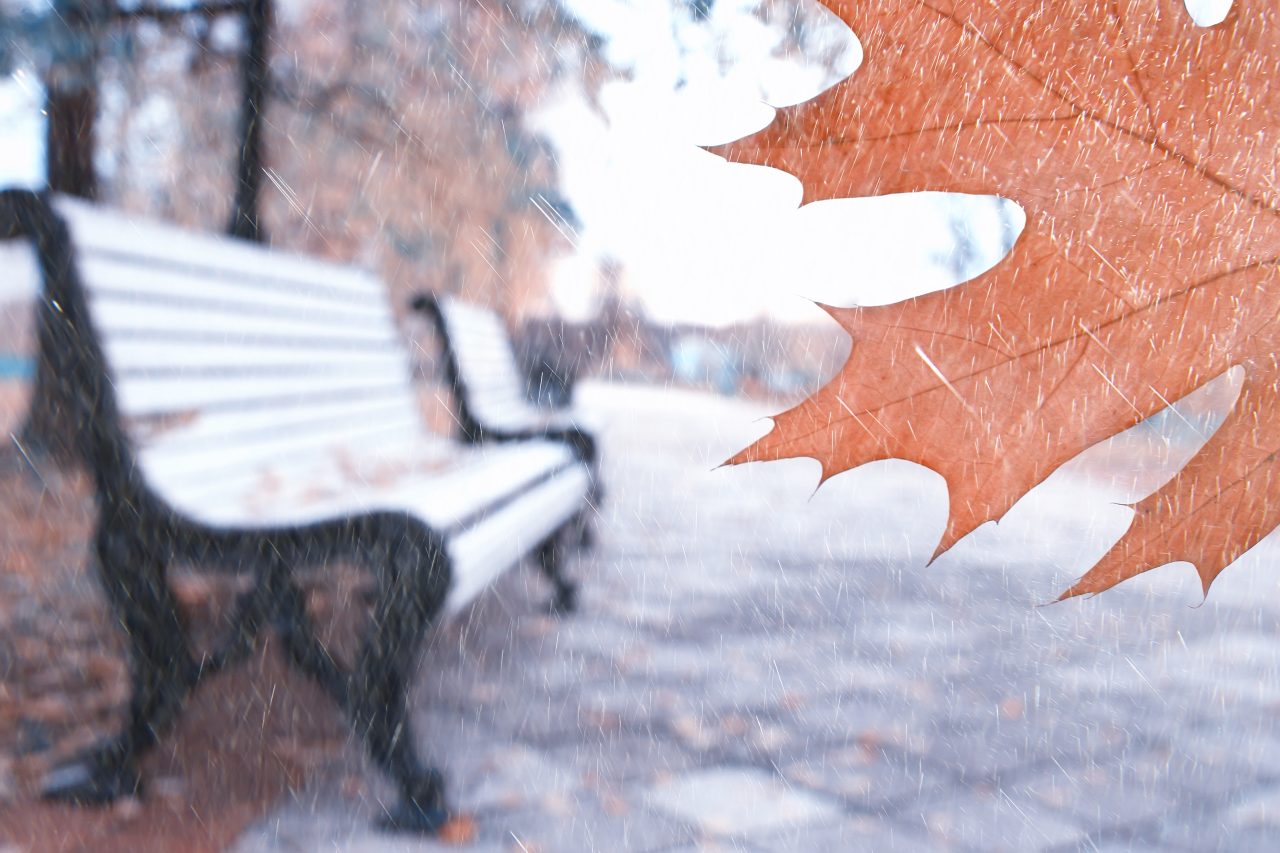 Meteorologii avertizează că urmează intensificări ale vântului. Pentru ce zone a emsi ANM cod galben