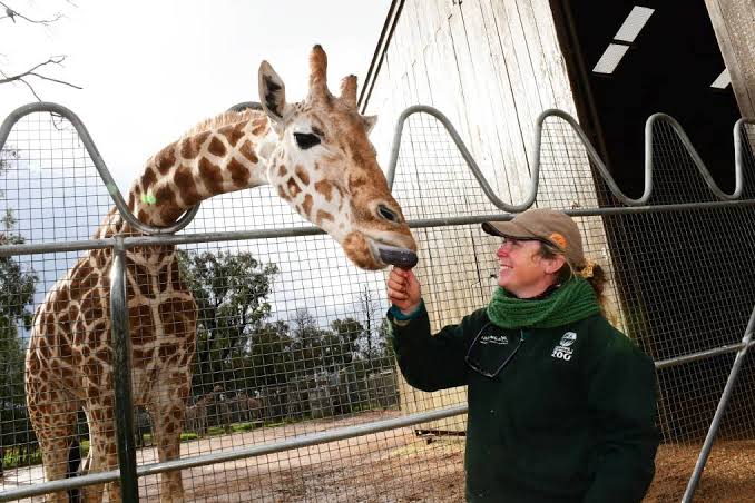 A murit cea mai bătrână girafă din lume. Câți ani avea Mutangi