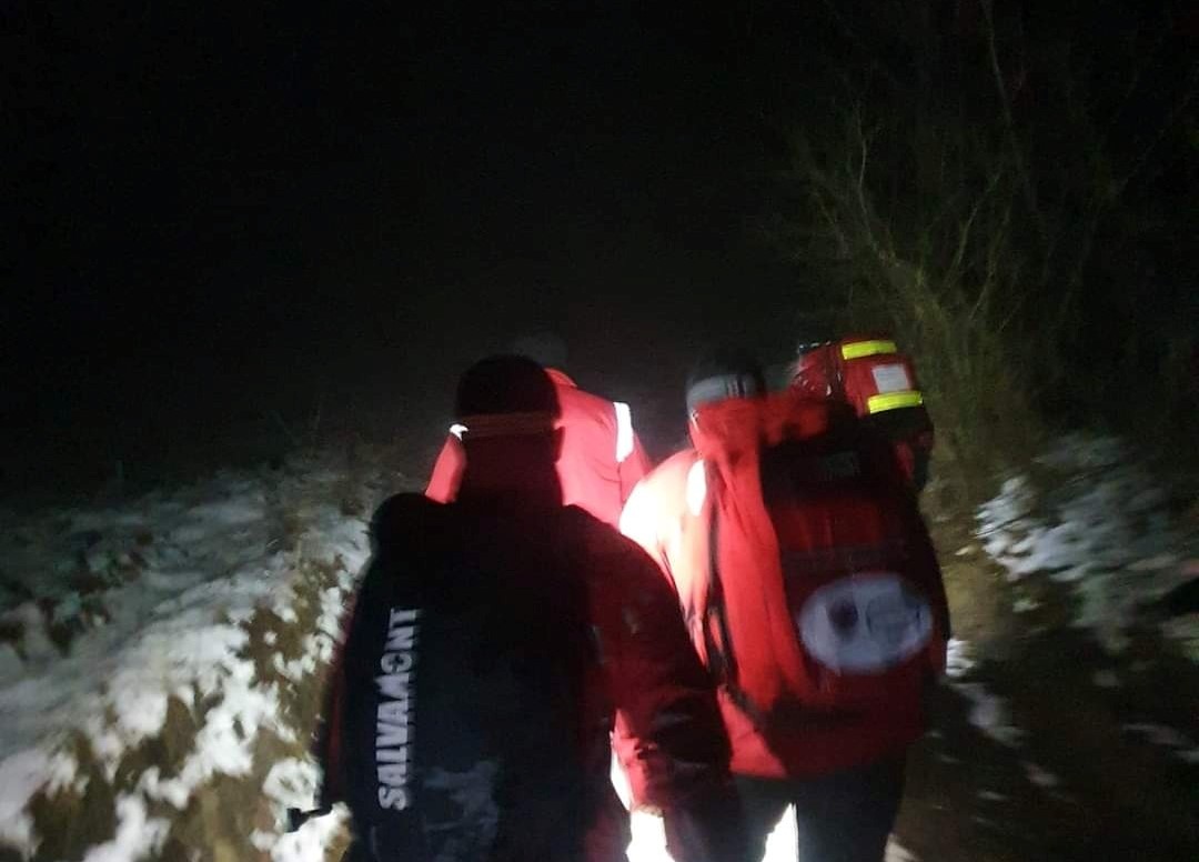 Bărbat atacat de urs, găsit mort într-o casă din pădure, în județul Harghita