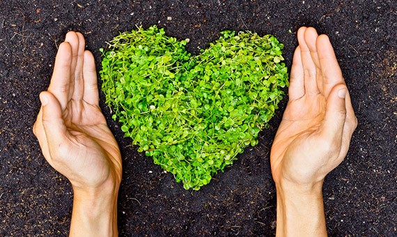 La Forumul de Sustenabilitate – 2021 al Coca-Cola HBC Group, GreenPoint Management obține Premiul de Sustenabilitate