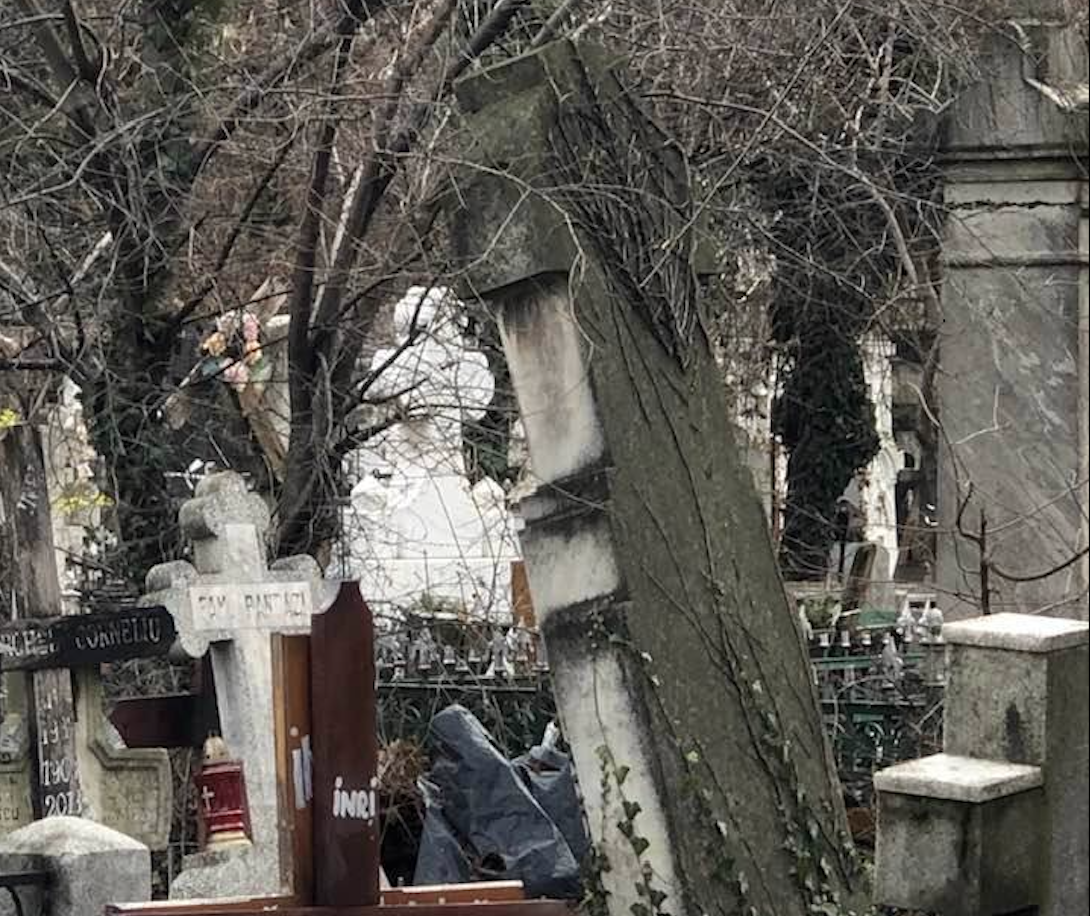 Oana Pellea, după o vizită la Cimitirul Bellu: „Niciodată nu am văzut asemenea dezastru. Ce Rușine!” / FOTO
