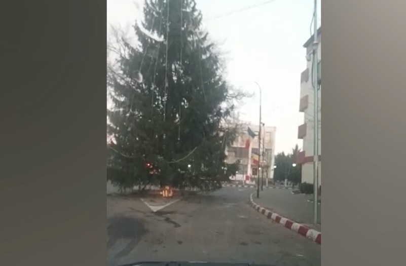VIDEO | Brad de Crăciun, montat chiar în mijlocul unei intersecții. Mașinile abia pot trece pe lângă el