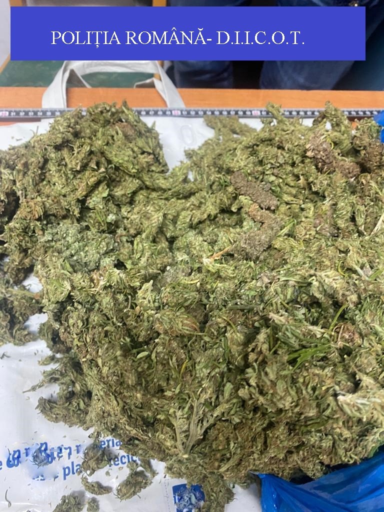 Doi bărbați au fost arestați preventiv după ce au fost prinși în flagrant când voiau să vândă 2,5 kilograme de muguri de cannabis. Câte droguri se consumă în România