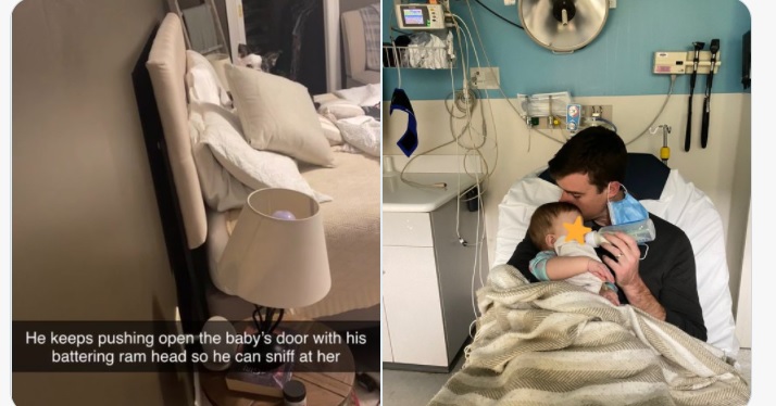 Povestea emoționantă a cățelului care a salvat viața unui bebeluș: „Nu putea respira. A devenit albastră și era rigidă”