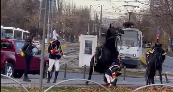 Jandarmul care a căzut de pe cal la parada de 1 Decembrie a fost dat pe mâna procurorilor militari (EXCLUSIV)