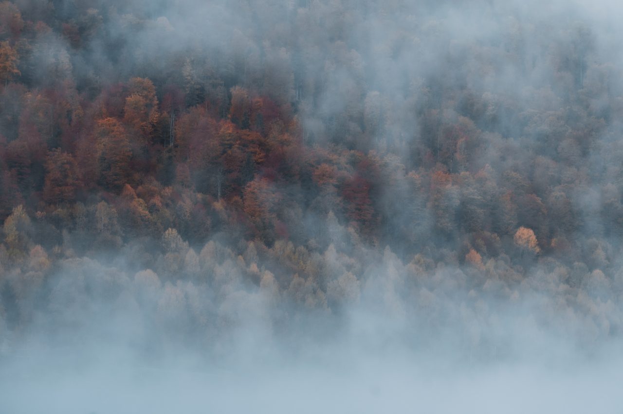 ANM: Avertizări meteo de ceață densă și polei. Care sunt zonele vizate