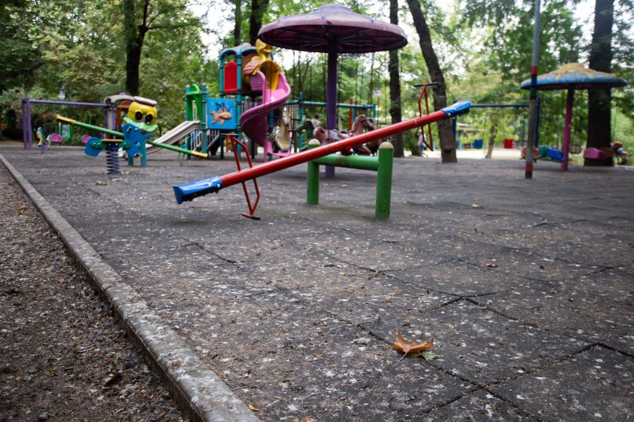 Cum vrea Primăria Capitalei să alunge ciorile din Cișmigiu cheltuind jumătate de milion de lei pentru un studiu de mediu