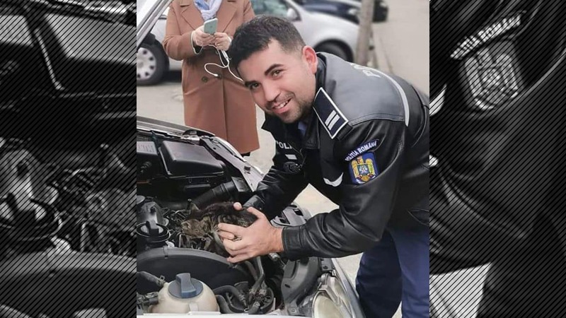 MAI: Este sezonul în care pisicile caută căldură, fiți atenți înainte de a porni mașina! Hilde Tudora, șef Protecția Animalelor Ilfov: Noi, oamenii, suntem vinovați că avem animale pe străzi