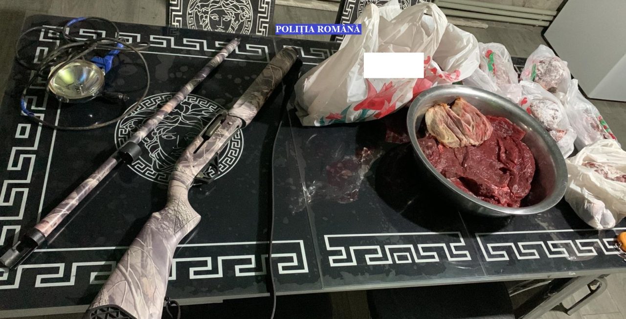FOTO | Trei brăileni au ucis un cerb carpatin pentru friptură. Polițiștii au găsit carnea tranșată în frigiderele acestora de acasă