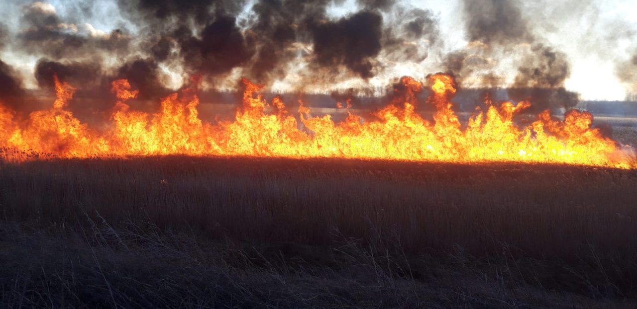Incendiu puternic în Olt. Au ars 70 de hectare de vegetație uscată