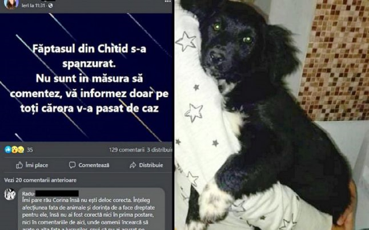 Un bărbat din Hunedoara, care omorâse un câine din comuna în care locuia, s-a spânzurat. Era anchetat, dar altceva l-ar fi determinat să recurgă la acest gest