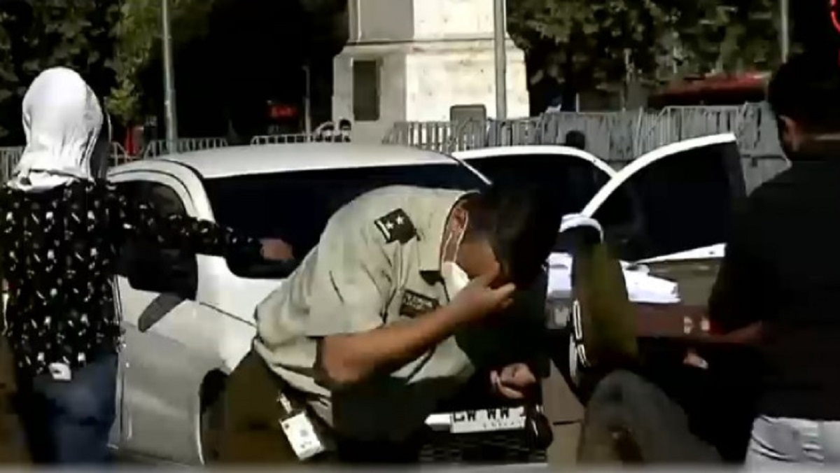 Polițiștii din Chile, atacați de sute albine după ce apicultorii au protestat cu 60 de stupi în fața Palatului Prezidențial (VIDEO)