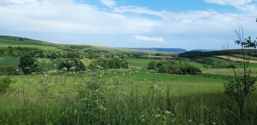 Schimbările climatice, conservarea trecutului și conservarea naturii în România