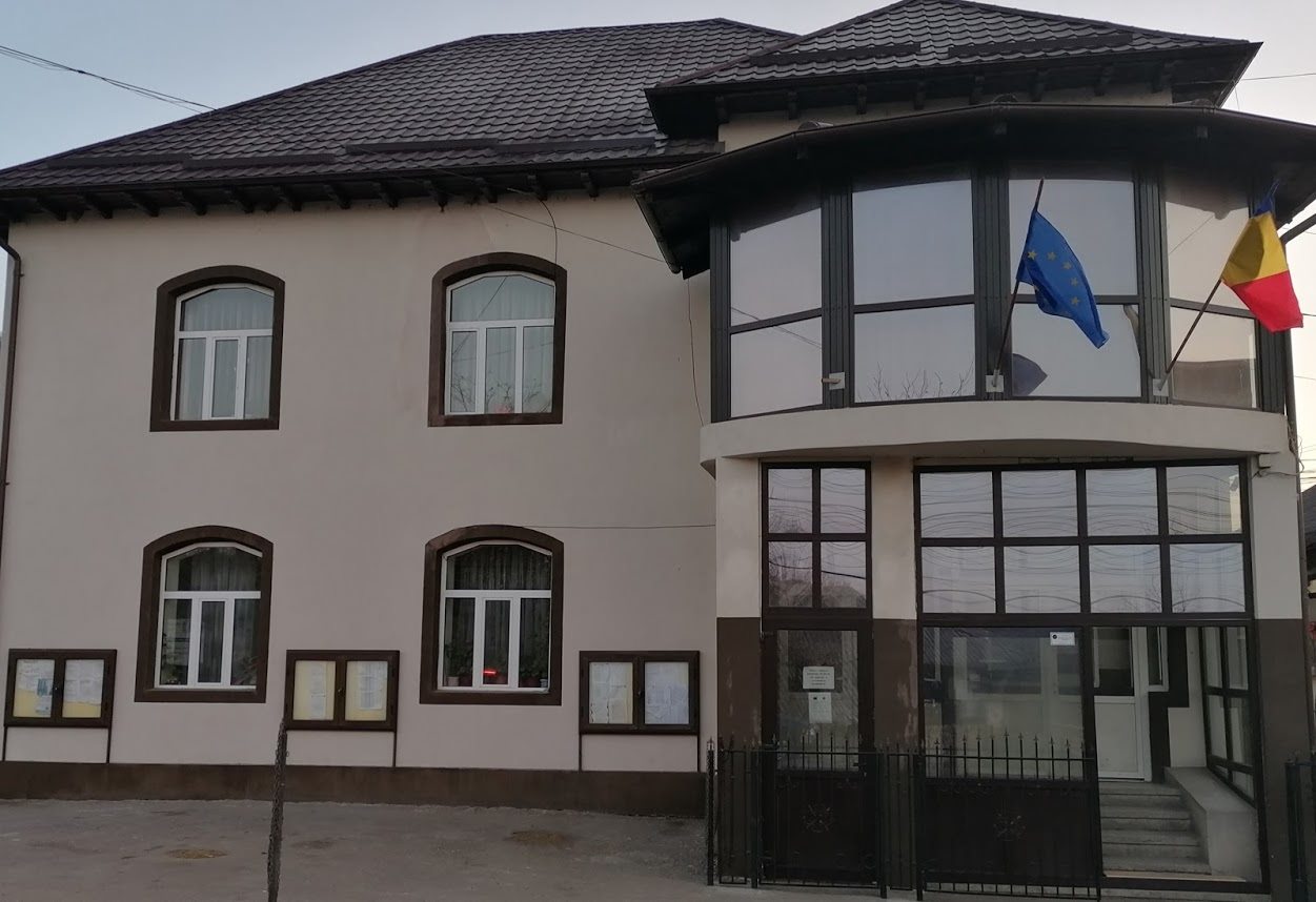 Un primar din Argeş, lovit și înjurat de o localnică