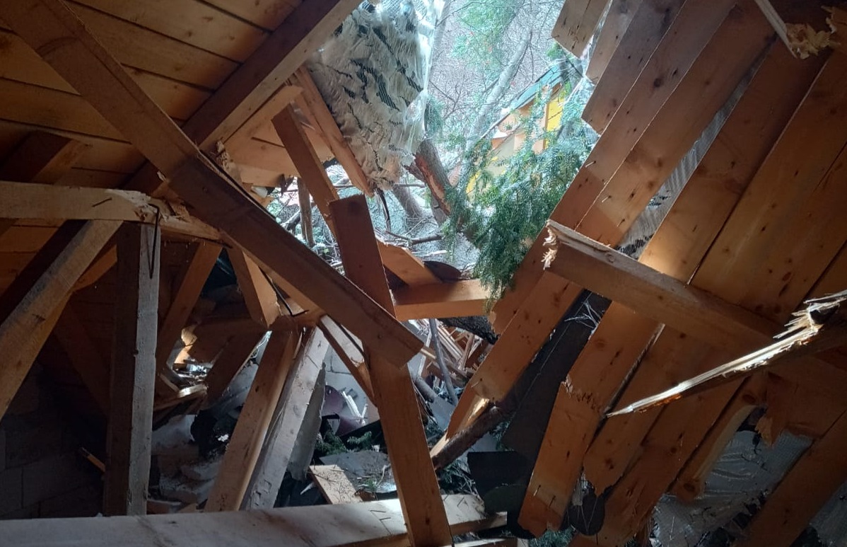 FOTO | Cabană distrusă în stațiunea Călimănești, după ce doi brazi au fost doborâți de vântul puternic