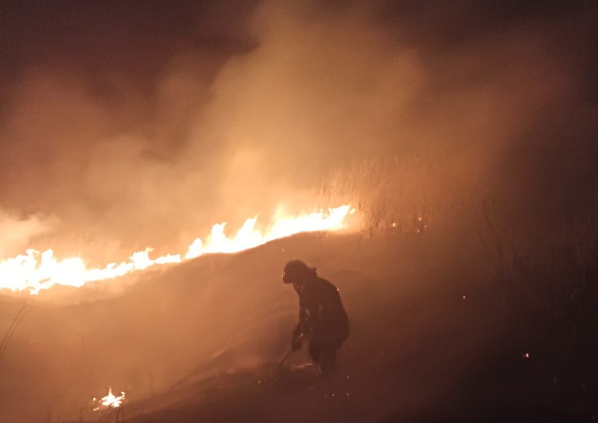 FOTO| Incendiu de amploare în Tulcea. Au ars 15 hectare de vegetație. Focul a fost pus intenționat