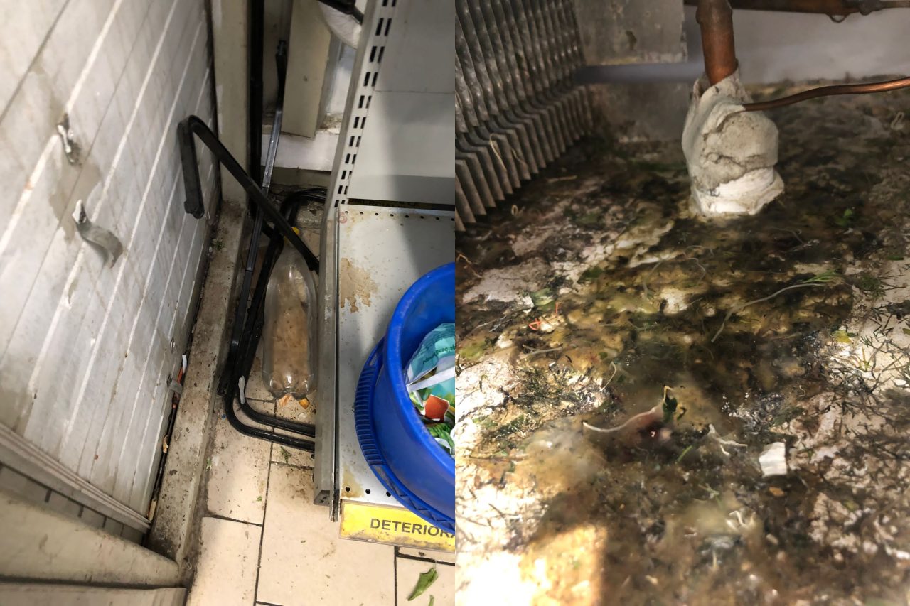 GALERIE FOTO | Gândaci morți, rugină și resturi alimentare în mai multe magazine Profi din București