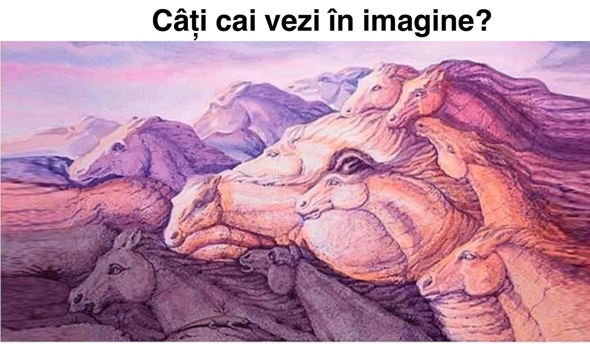 Testul IQ care îți arată cine ești, de fapt | Câți cai vezi în această poză?
