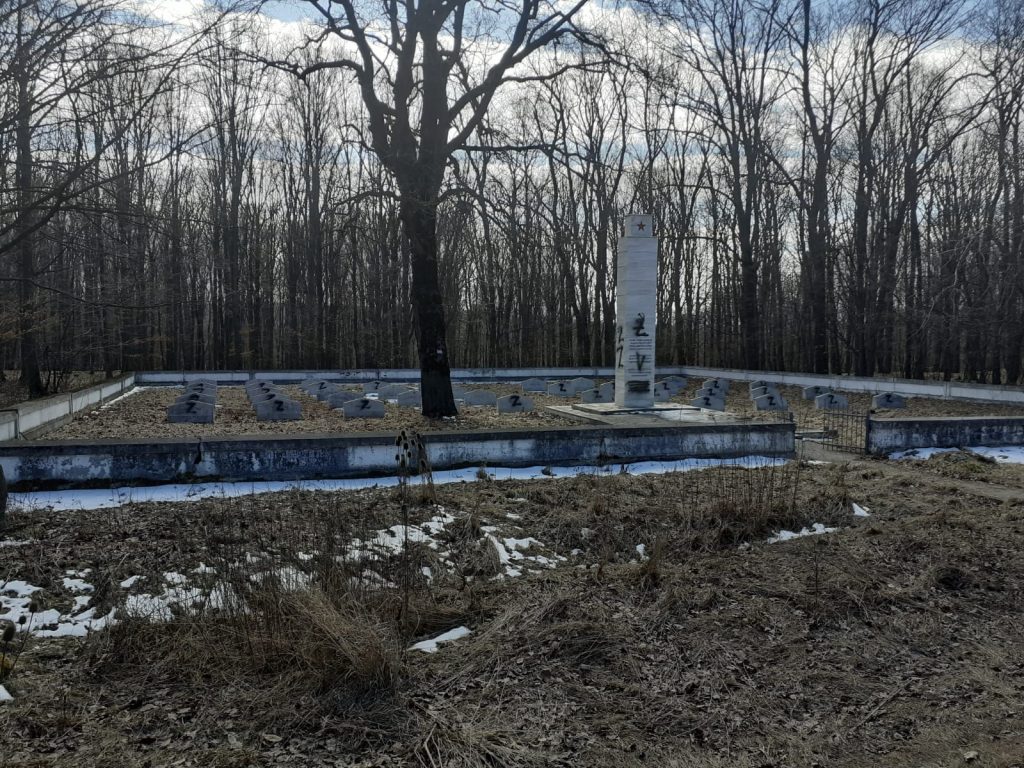 Cimitir în care sunt îngropați soldați ruși, vandalizat. Polițiștii au deschis dosar penal