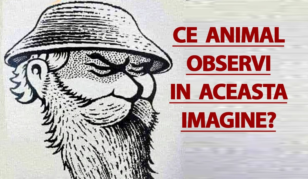 Test de inteligență | Ce animal observi în această imagine? 9 din 10 se lasă bătuți!