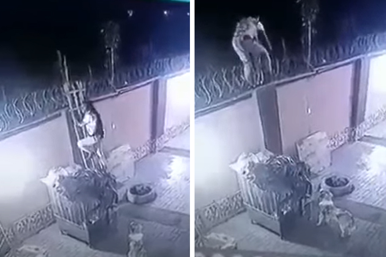 La 4 săptămâni de la nuntă, un bărbat a aflat că soția îl înșală. Detaliul observat în imaginile filmate noaptea, de camerele de supraveghere din curte