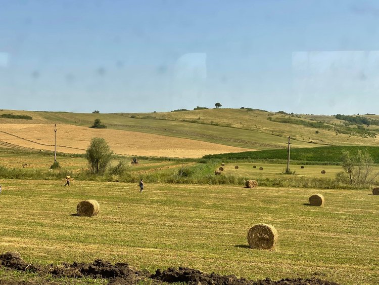 Peisajul local și schimbările climatice
