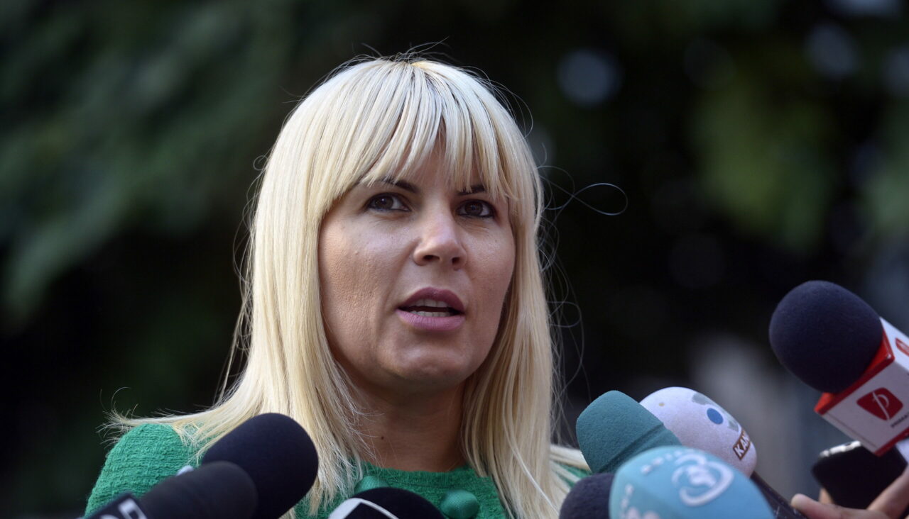 Elena Udrea atacă clasa politică din România. Ce mesaj transmite fostul ministru