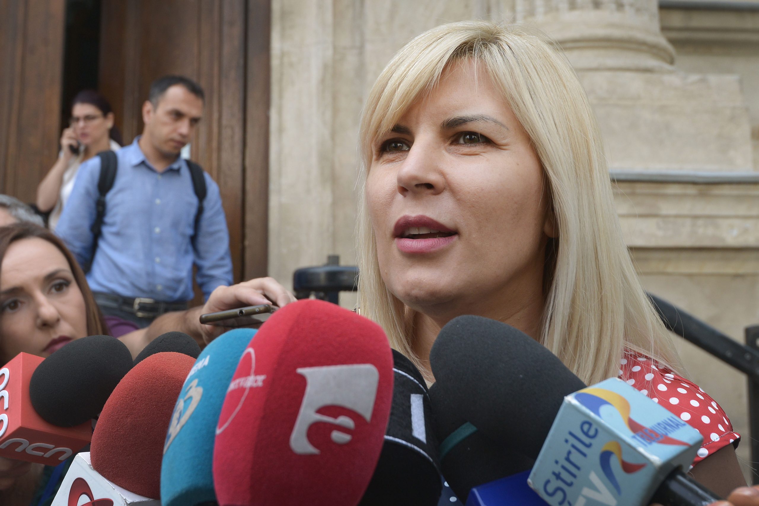 Elena Udrea critică UE: Vaca, de la poluator la resursă strategică
