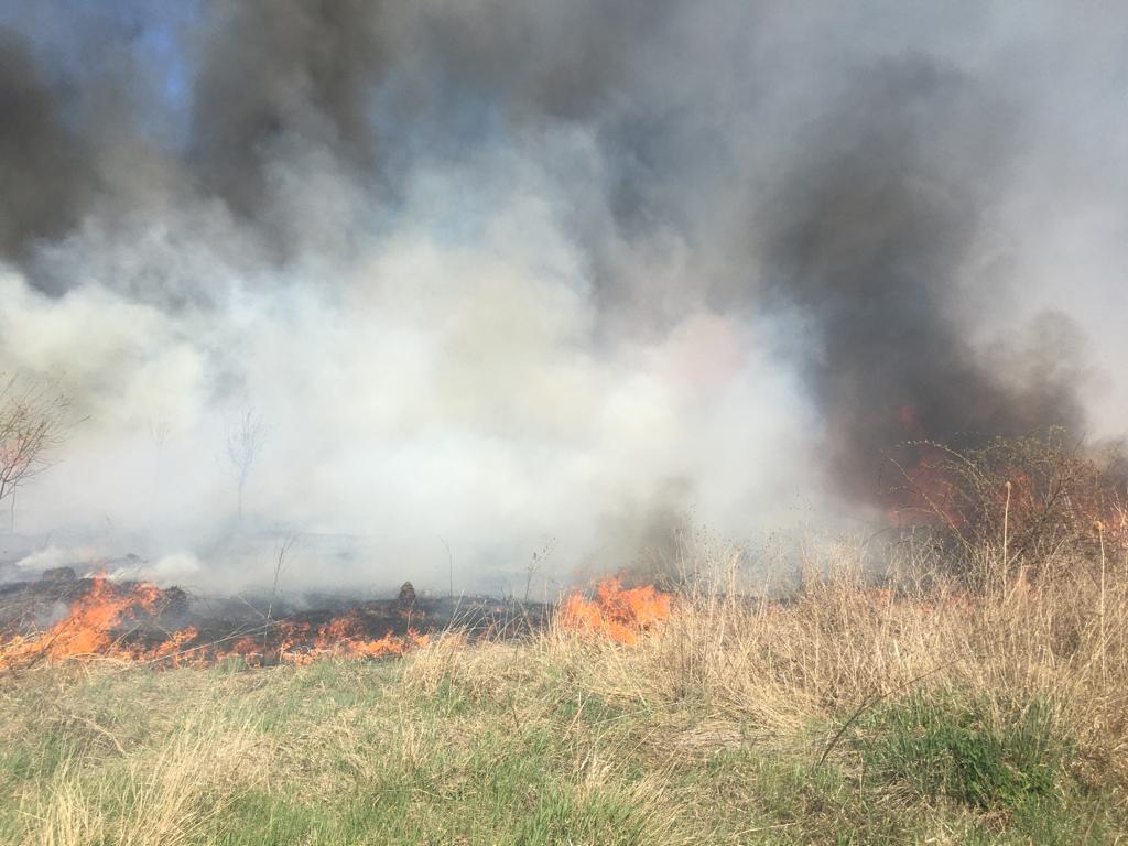 Un pompier din Argeș a murit, în timp ce stingea un incendiu de vegetație izbucnit pe Autostrada 1