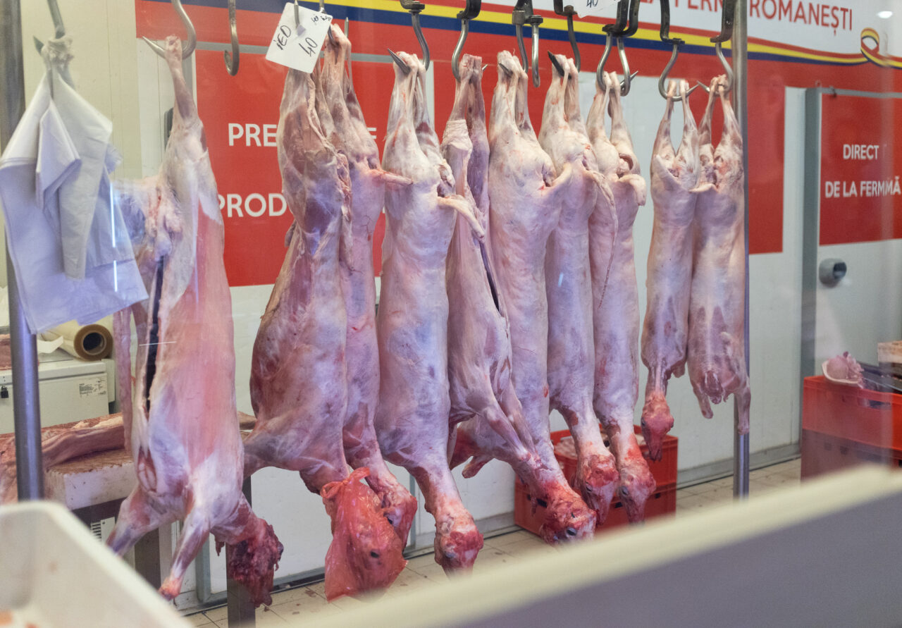 Cu cât se vinde carnea de miel înaintea Paștelui. „Cele mai importante livrări se vor face la vară”
