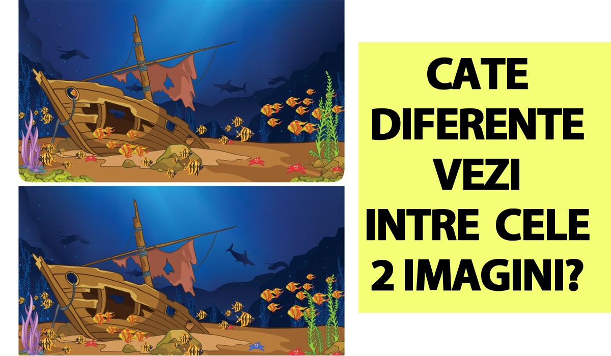 Test IQ destinat exclusiv geniilor, cu 10 întrebări | Câte diferențe vezi între cele 2 poze?