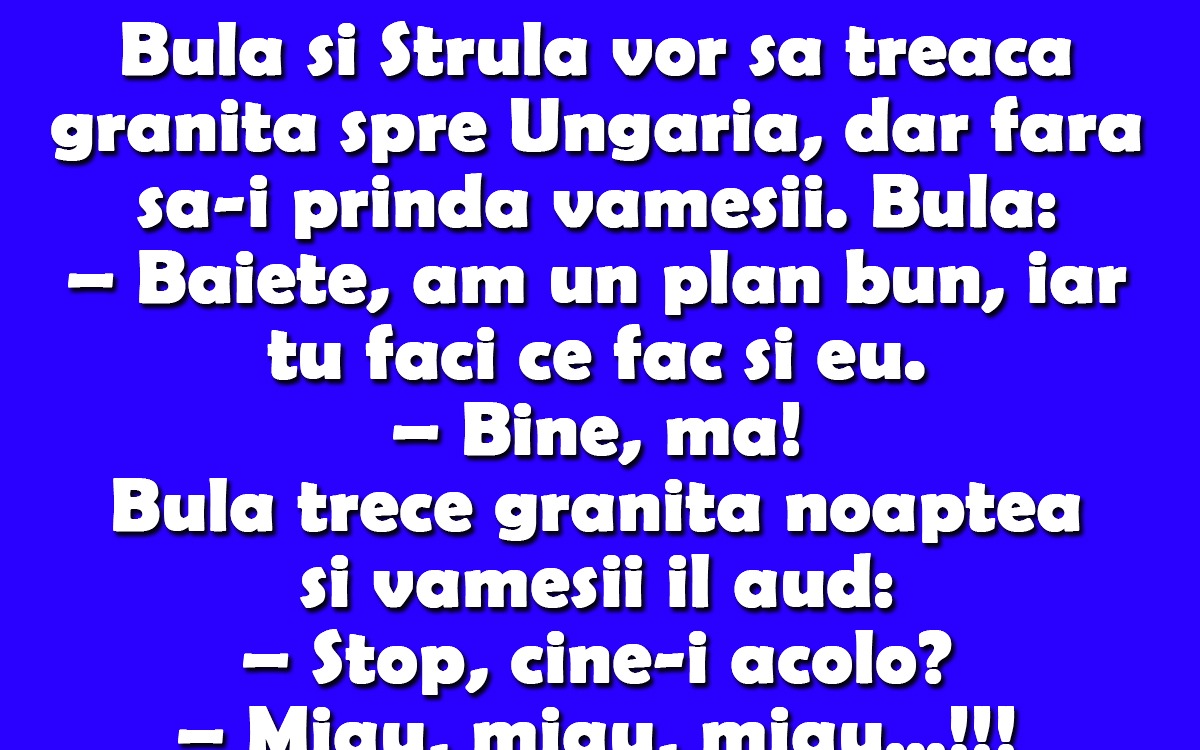 BANC | Bulă și Ștrulă vor să treacă granița spre Ungaria, dar fără să-i prindă vameșii